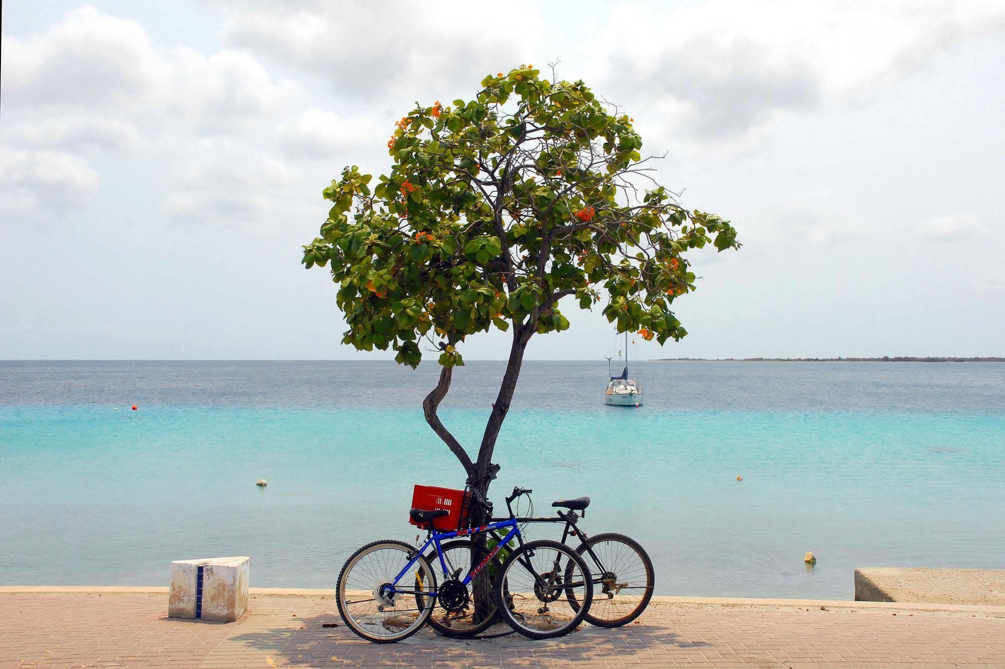 City Inn Bonaire Exterior foto
